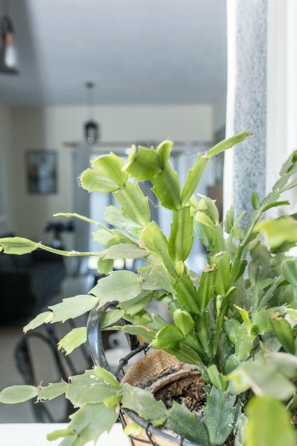 Luxury Skyline Apartment Pelekas Esterno foto